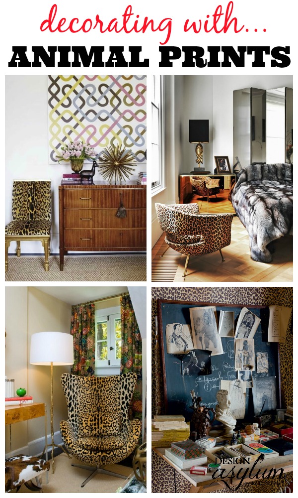 Decorating with Animal Prints